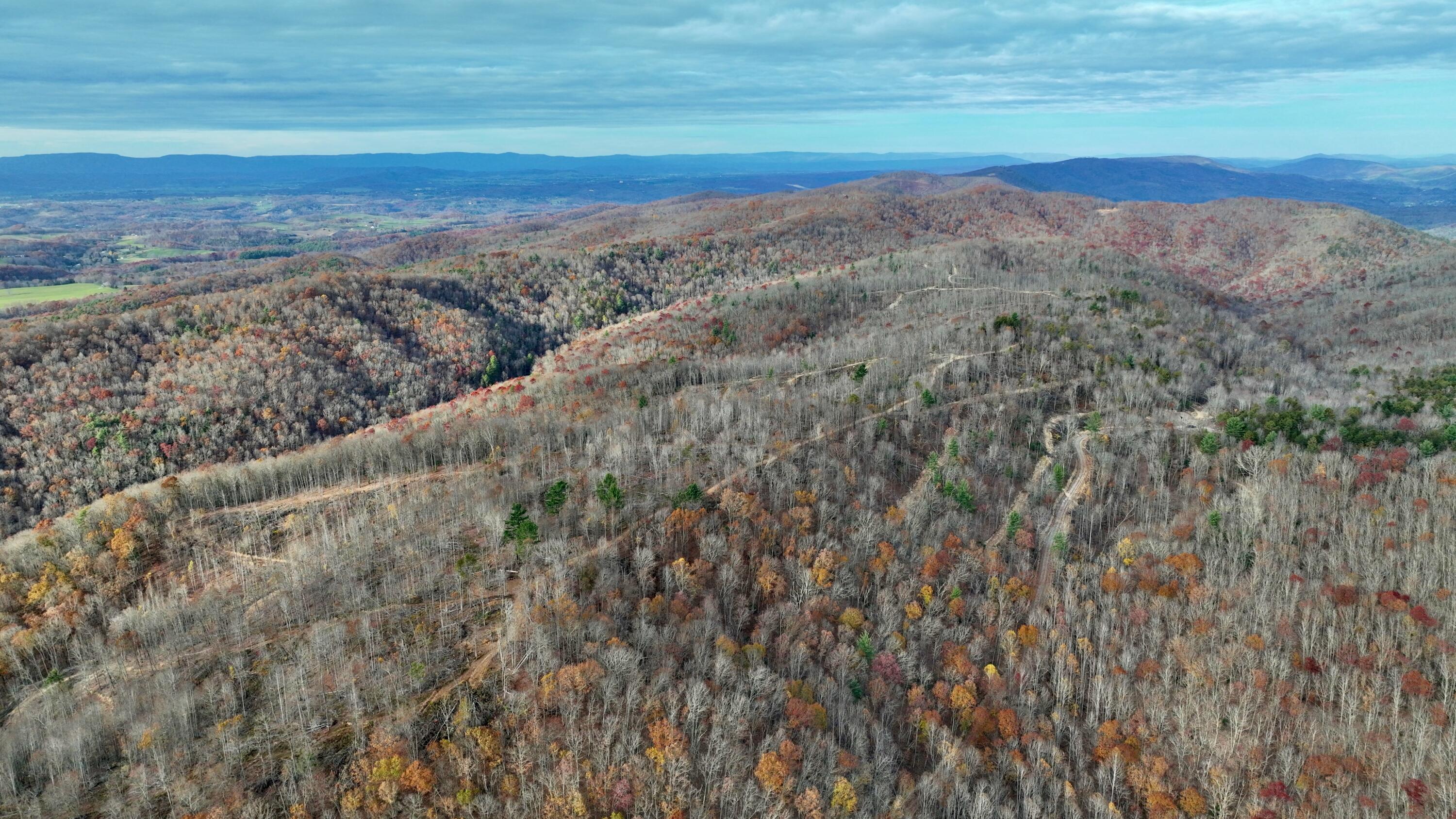 Cub House Road, Caldwell, West Virginia image 17