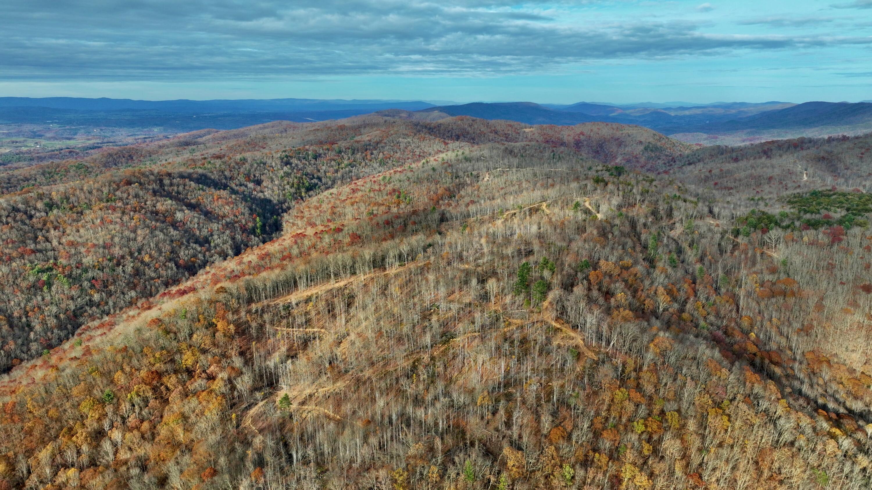 Cub House Road, Caldwell, West Virginia image 18