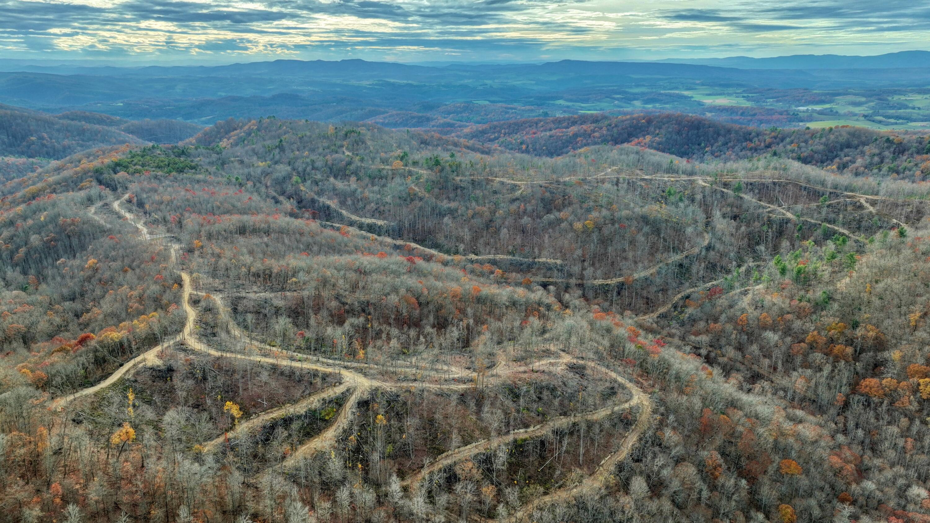 Cub House Road, Caldwell, West Virginia image 10