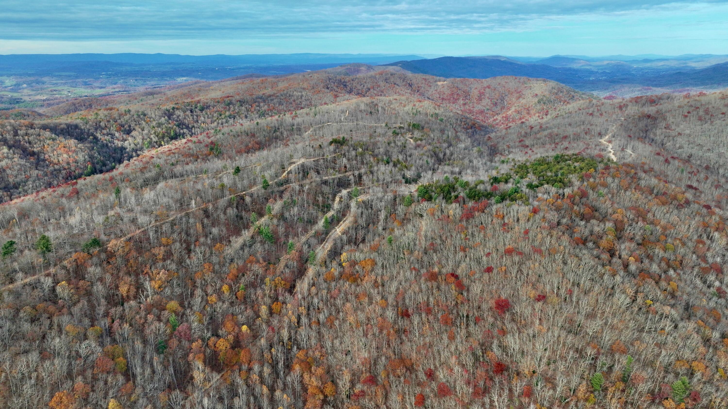 Cub House Road, Caldwell, West Virginia image 16