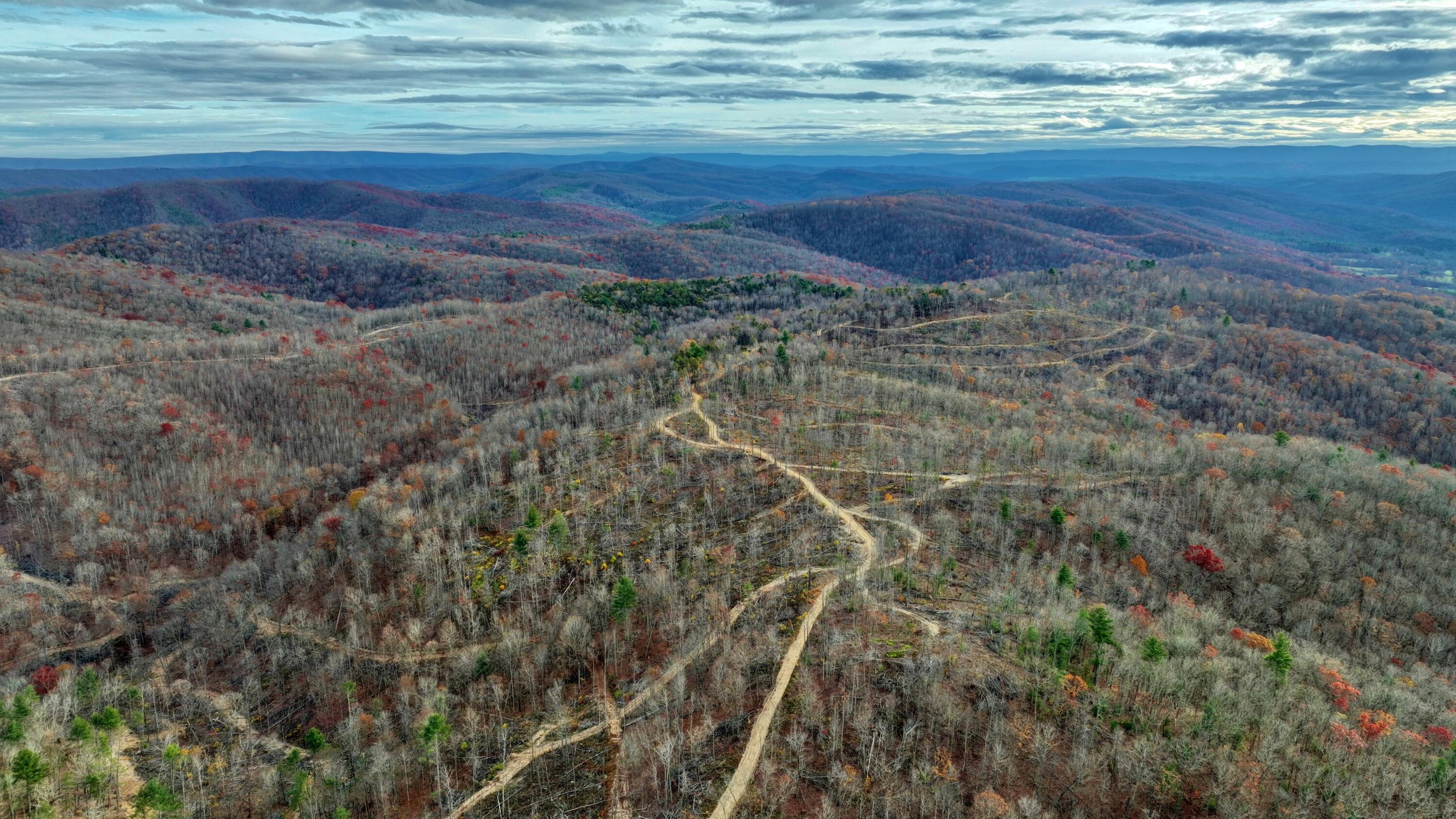 Cub House Road, Caldwell, West Virginia image 6