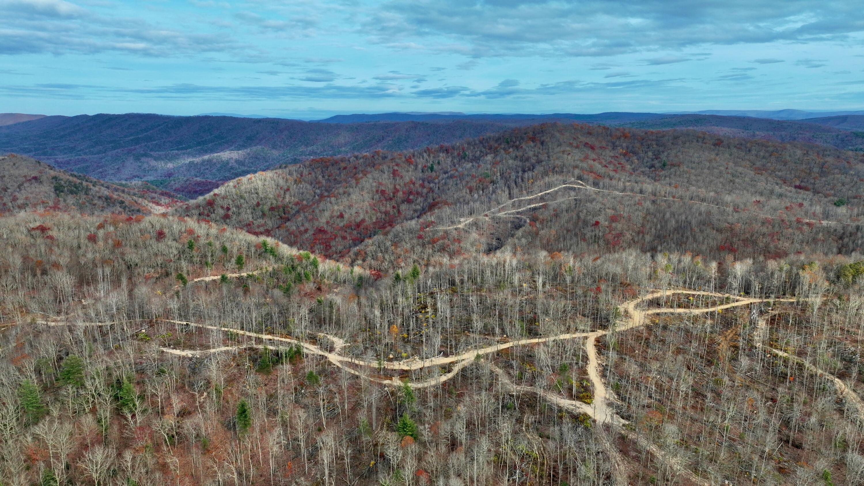 Cub House Road, Caldwell, West Virginia image 4