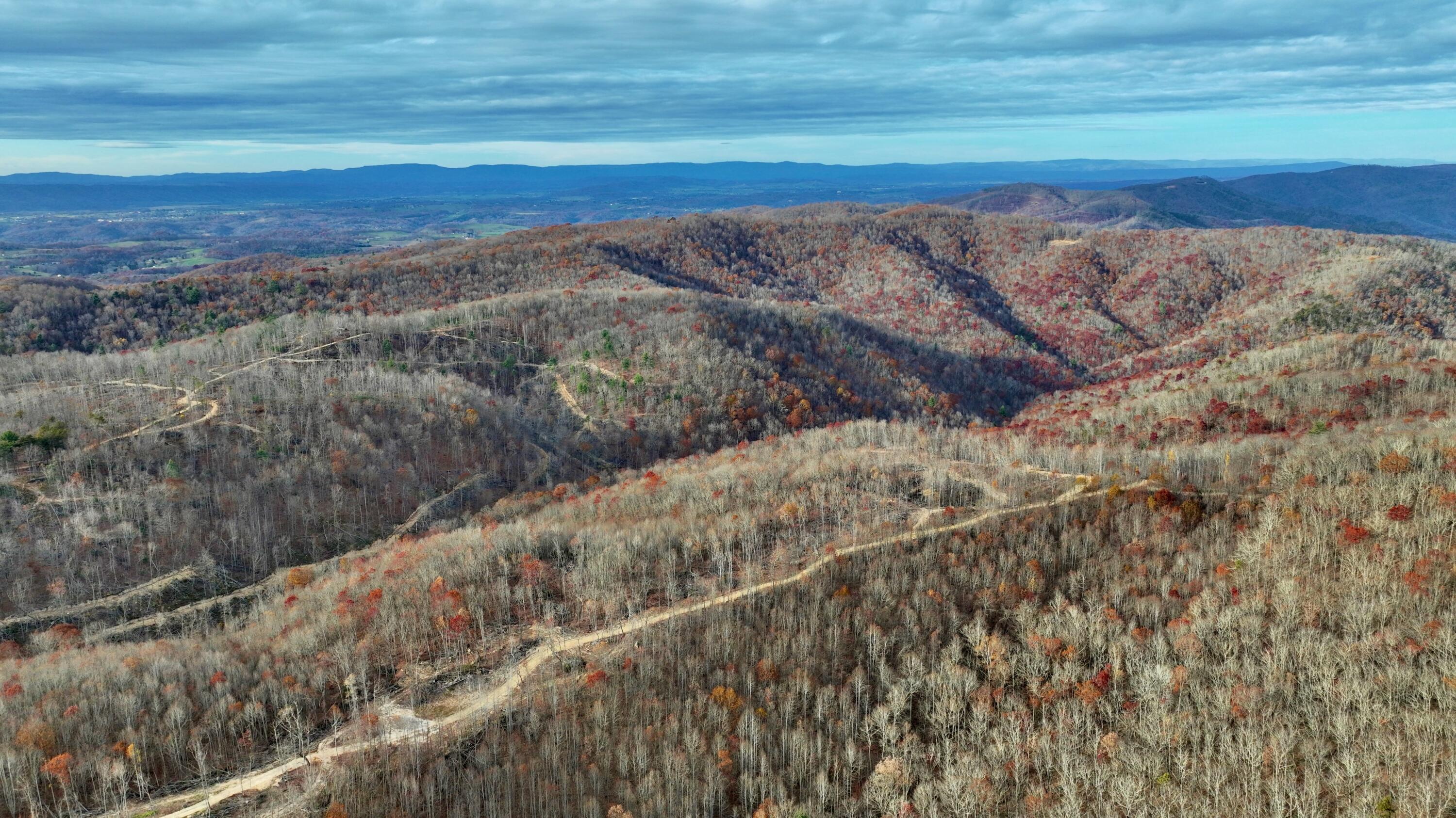 Cub House Road, Caldwell, West Virginia image 14