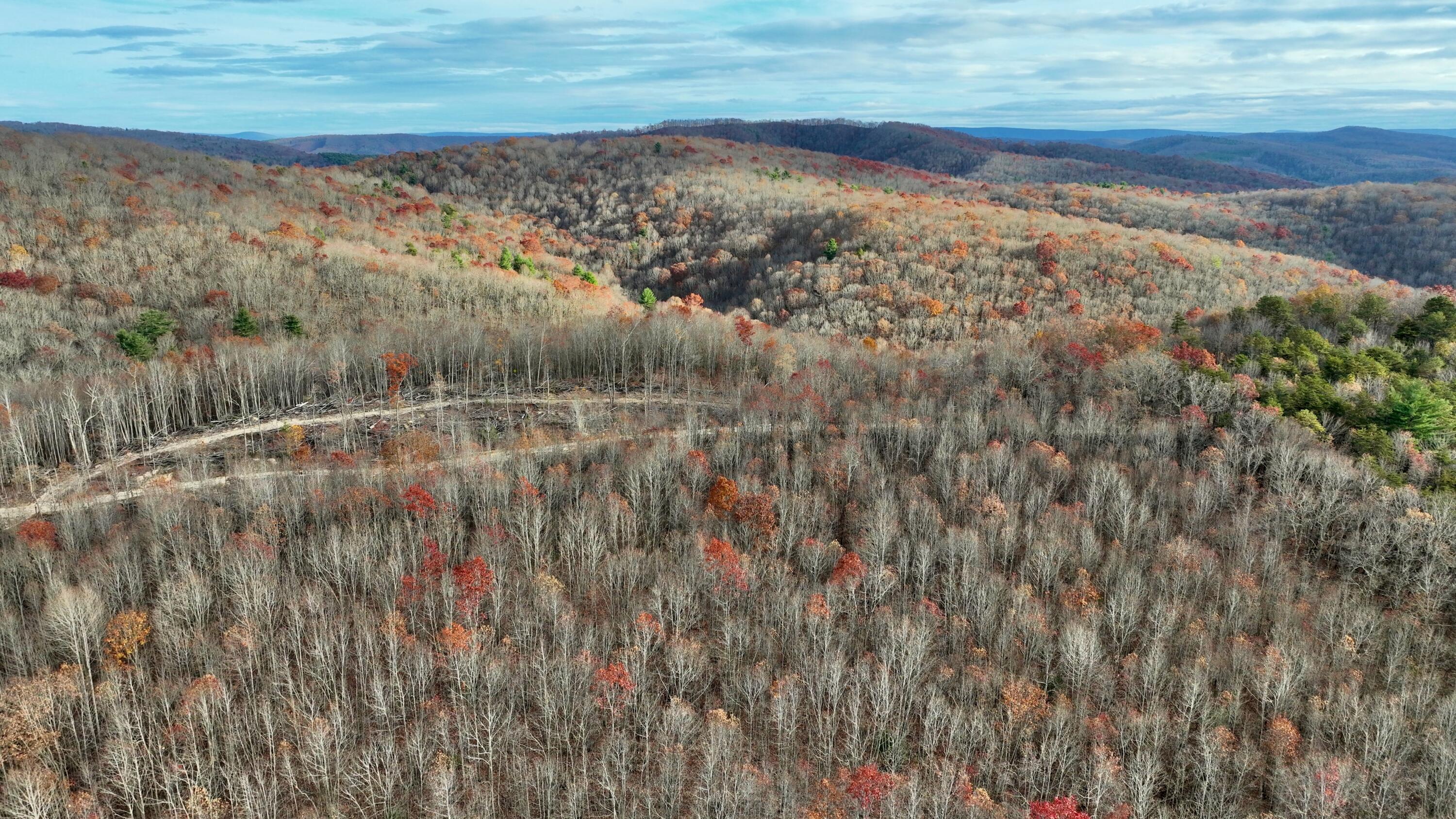 Cub House Road, Caldwell, West Virginia image 30