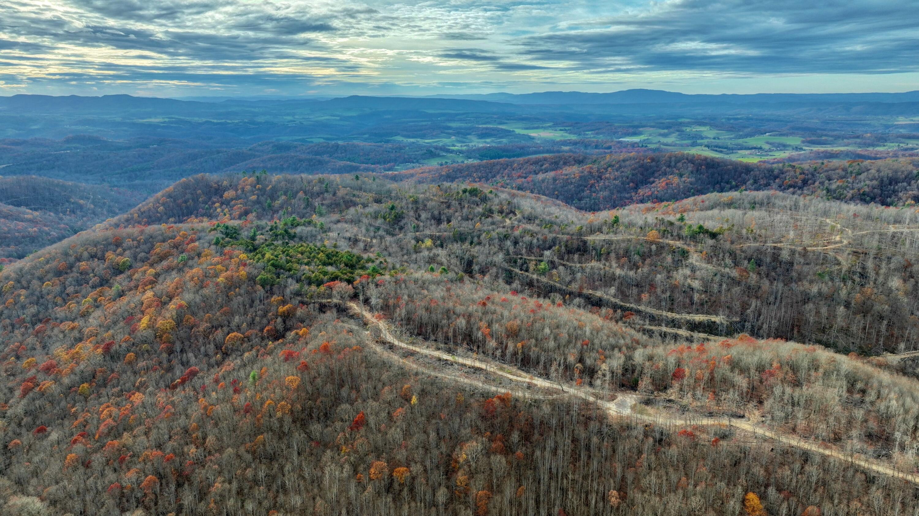 Cub House Road, Caldwell, West Virginia image 13