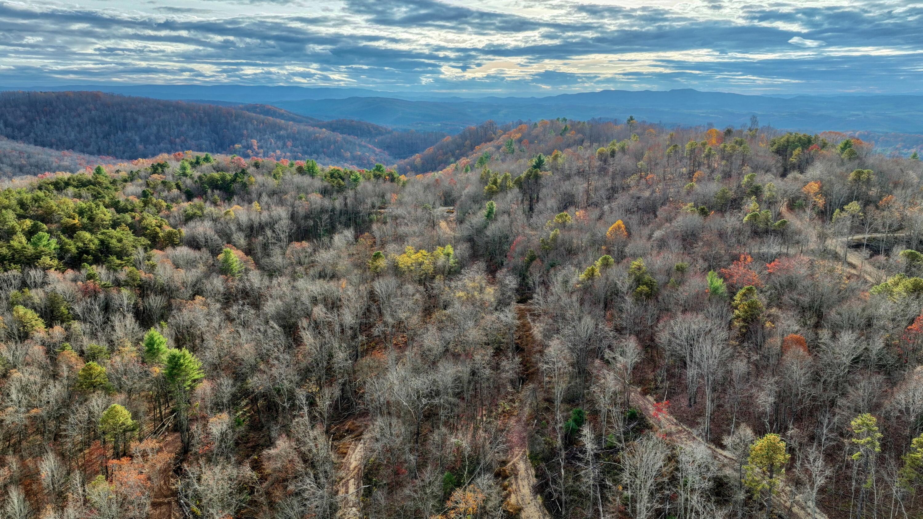 Cub House Road, Caldwell, West Virginia image 31