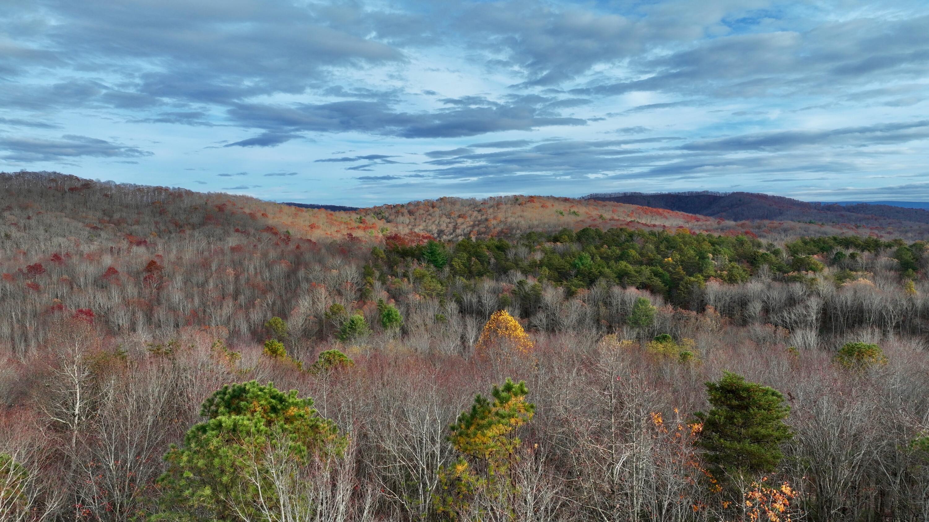 Cub House Road, Caldwell, West Virginia image 26