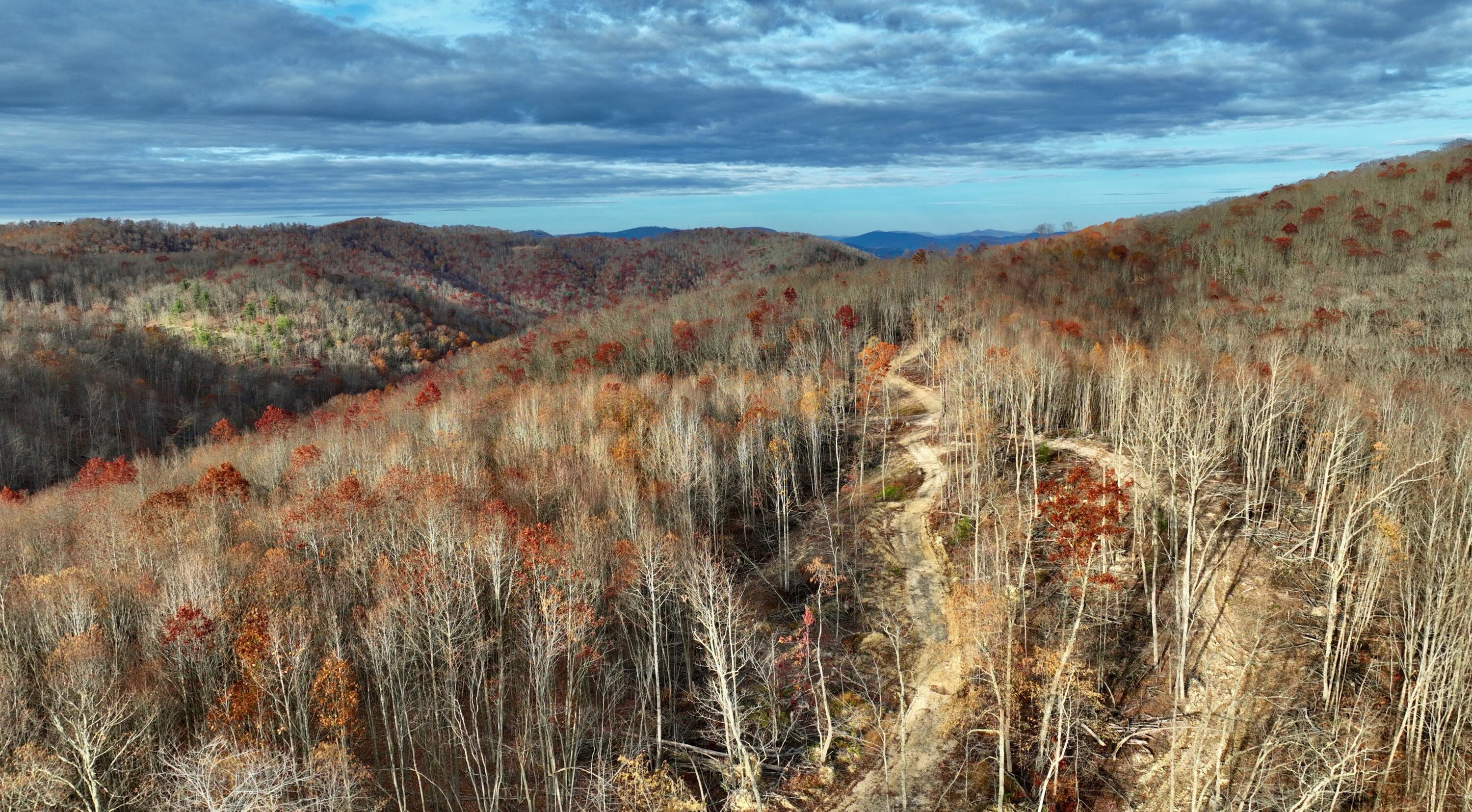 Cub House Road, Caldwell, West Virginia image 35