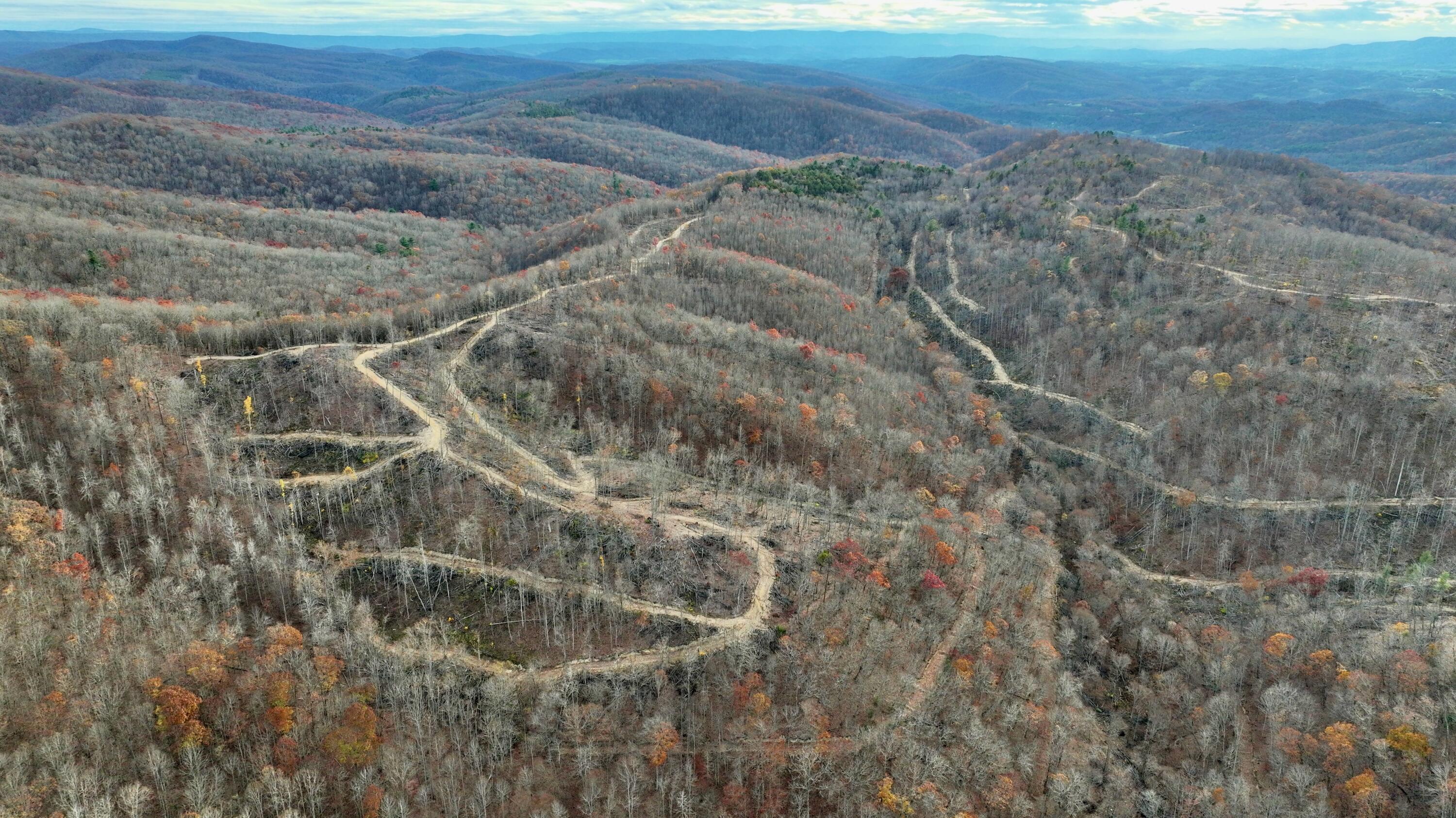 Cub House Road, Caldwell, West Virginia image 8