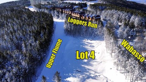 Vacant Land For Sale - 246 Forever Wild Way<br/> Pocahontas County, Snowshoe, WV 26209