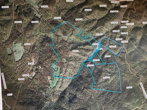 Vacant Land For Sale - Bryant Hollow Road<br/> Alderson, WV 24910