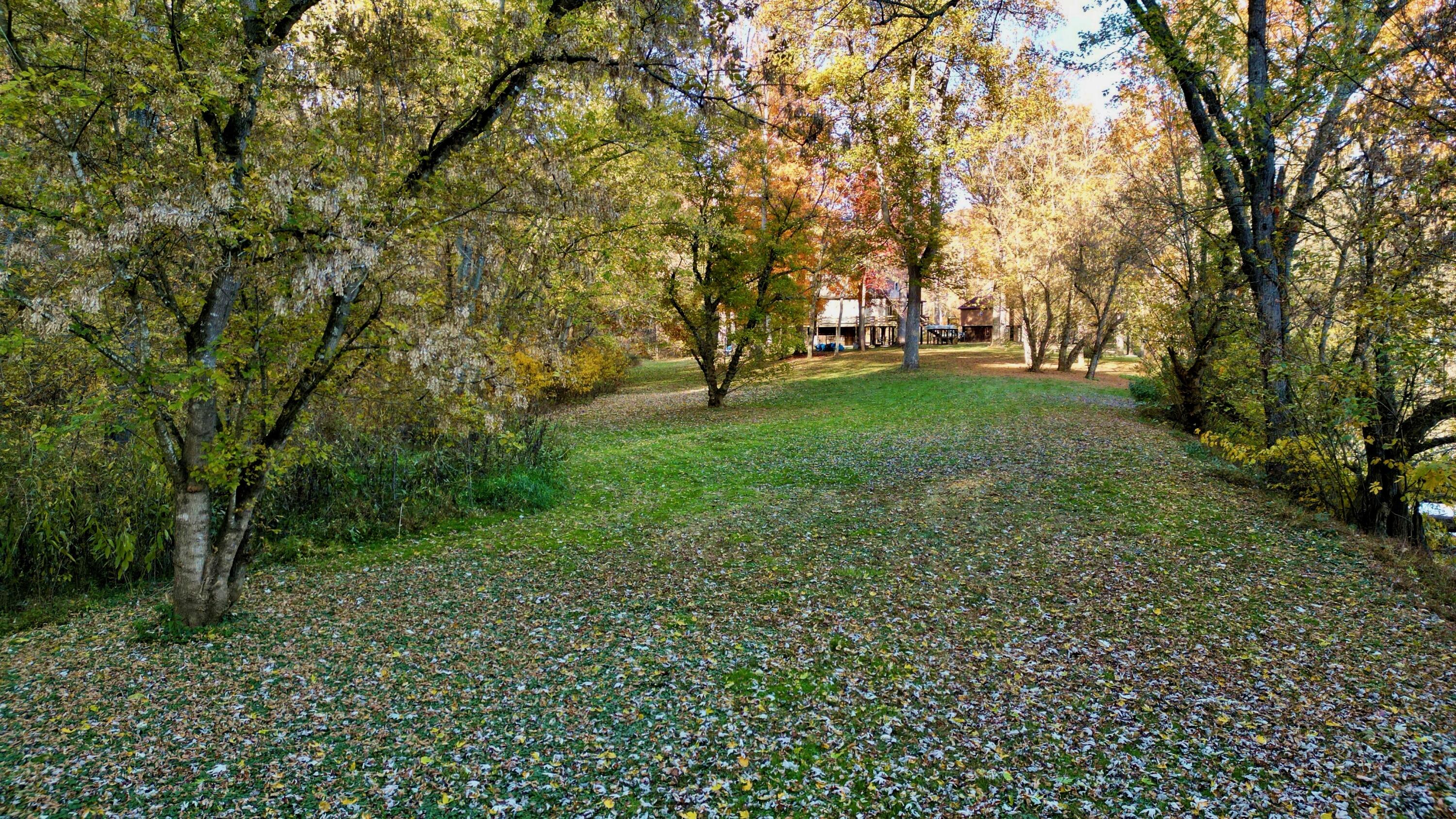 116 N Alligator Ln, Talcott, West Virginia image 50