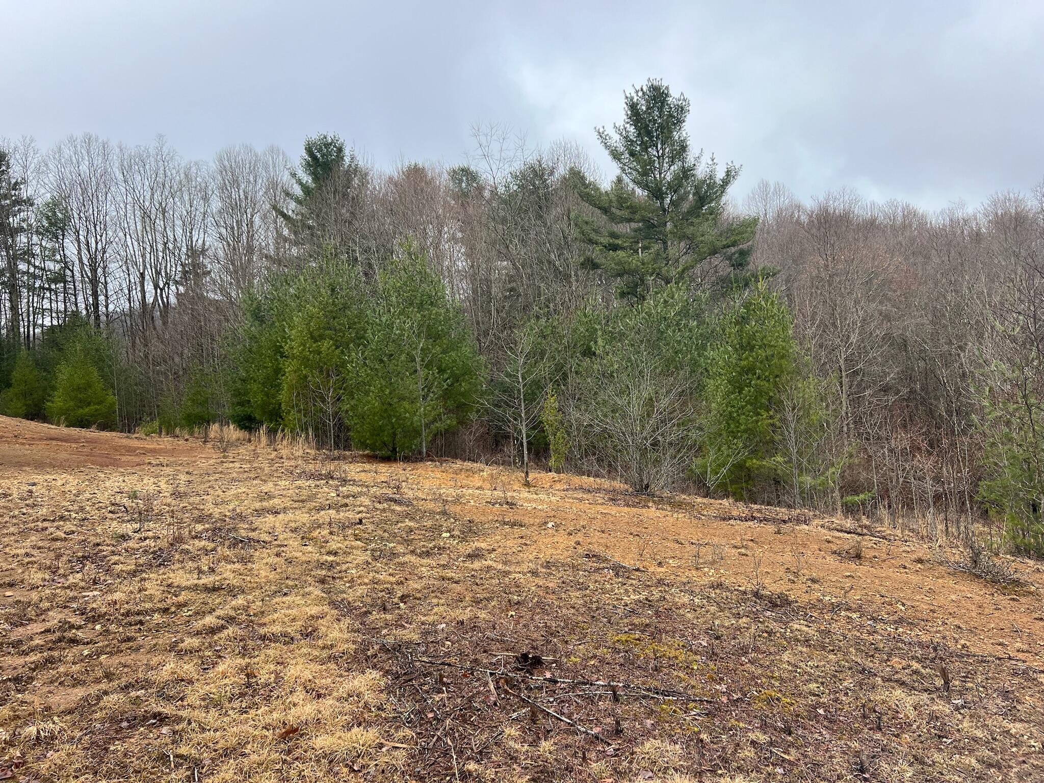 Meadow Bridge Road, Meadow Bridge, West Virginia image 16