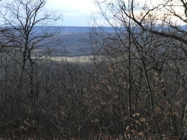 9101 N Lot 62 Westridge Harts Run #62, Caldwell, West Virginia image 8