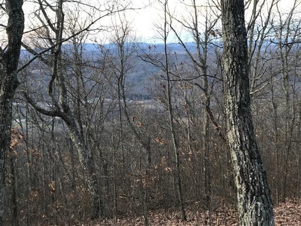 9101 N Lot 62 Westridge Harts Run #62, Caldwell, West Virginia image 1