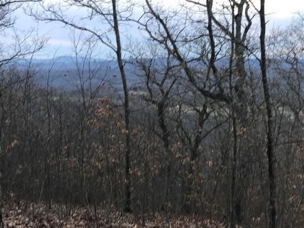 9101 N Lot 62 Westridge Harts Run #62, Caldwell, West Virginia image 7