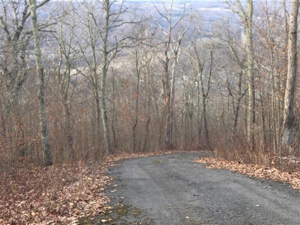 9101 N Lot 62 Westridge Harts Run #62, Caldwell, West Virginia image 4