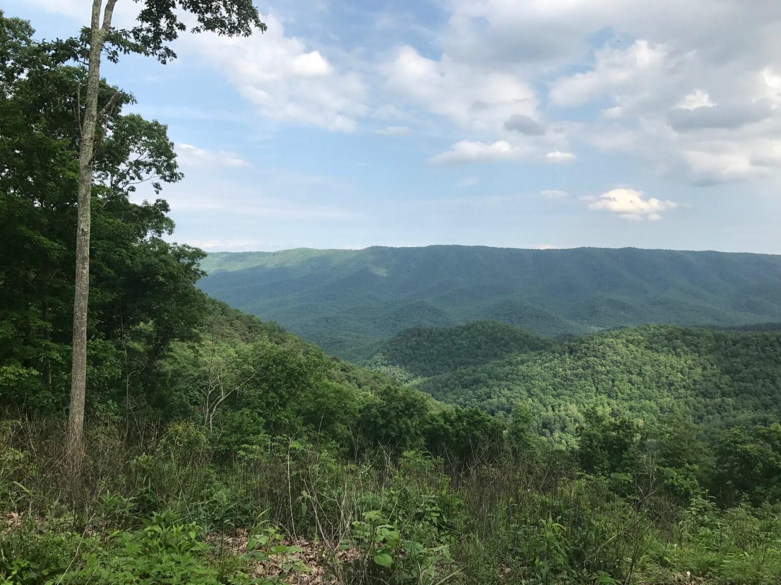 9101 N Lot 62 Westridge Harts Run #62, Caldwell, West Virginia image 12