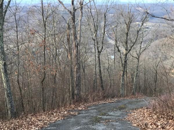 9101 N Lot 62 Westridge Harts Run #62, Caldwell, West Virginia image 3