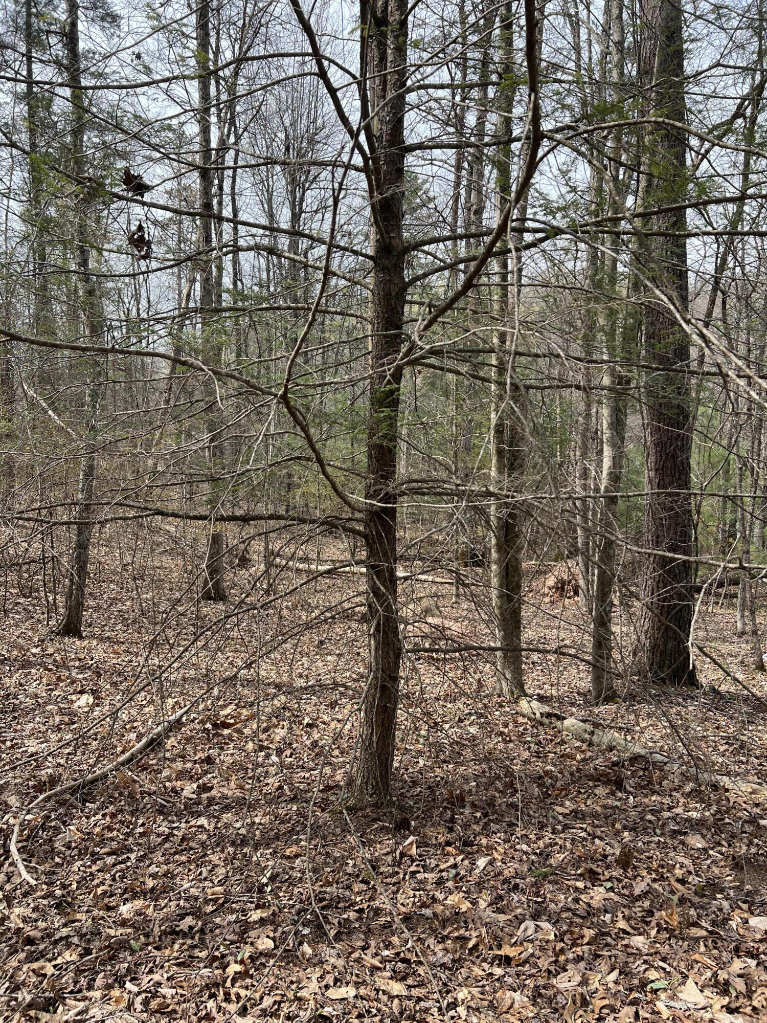 Stonehenge Pkwy, Lewisburg, Pennsylvania image 5