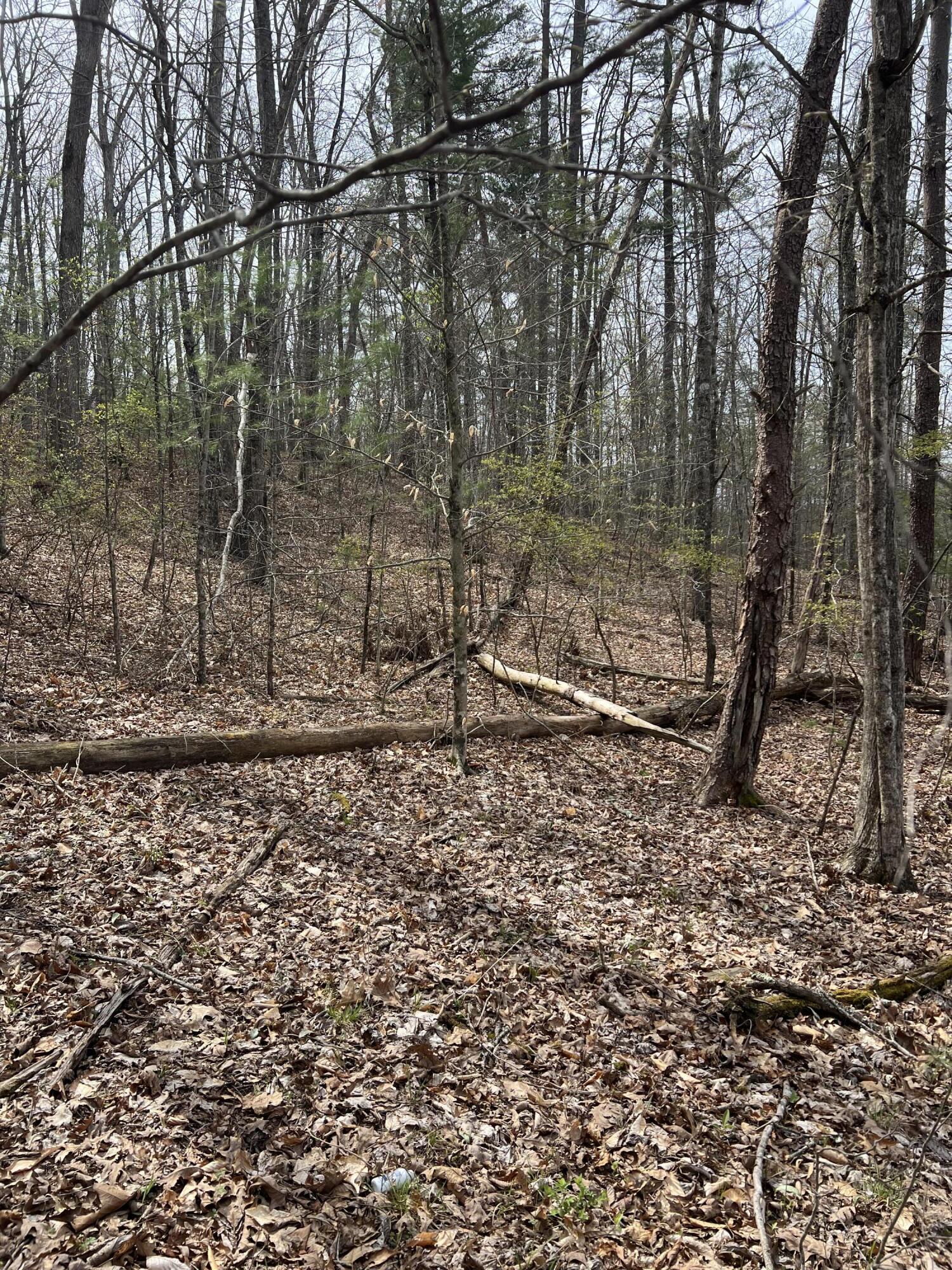 Stonehenge Pkwy, Lewisburg, Pennsylvania image 7