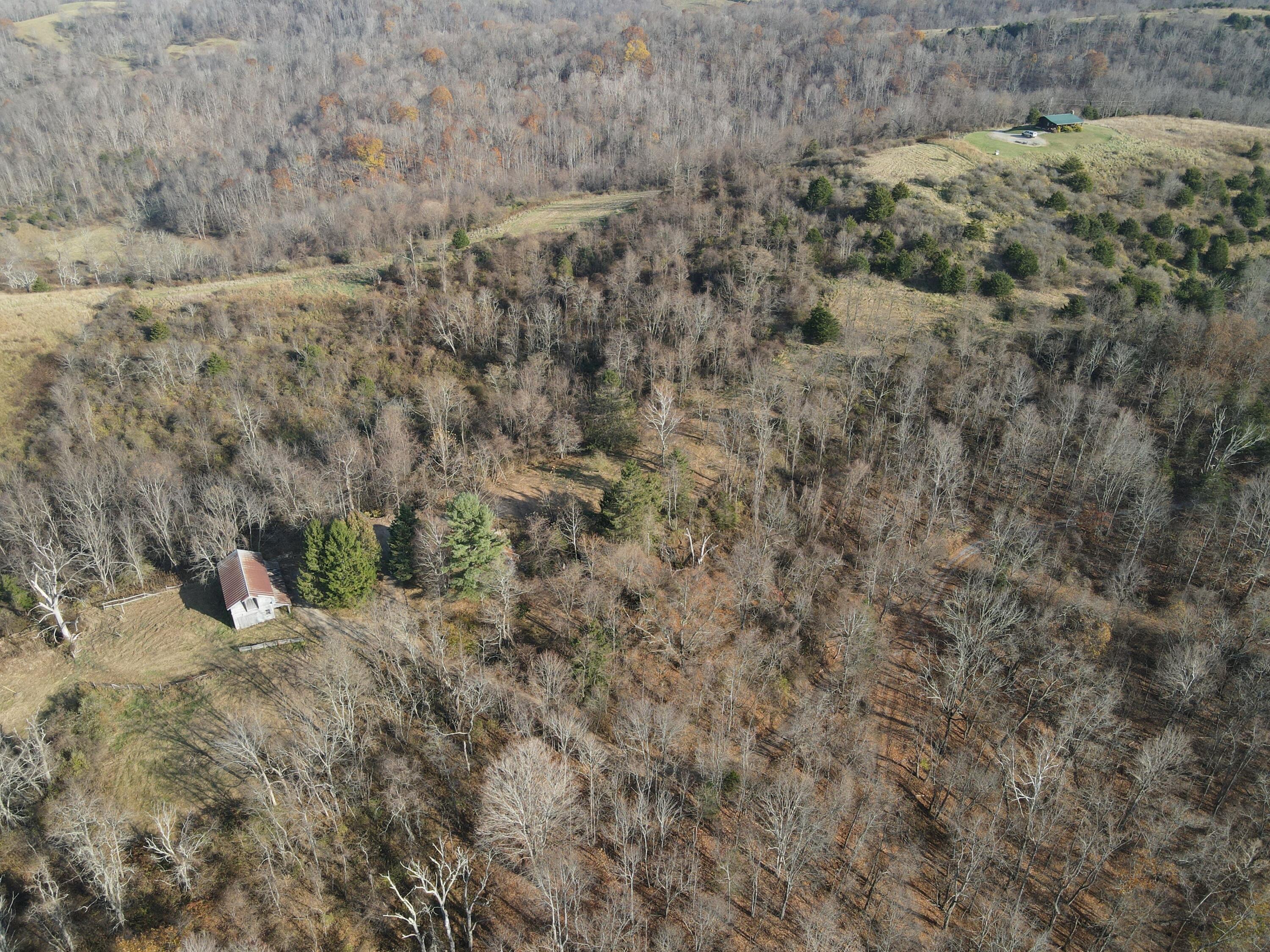 Toulee Ridges Lane, Sinks Grove, West Virginia image 41