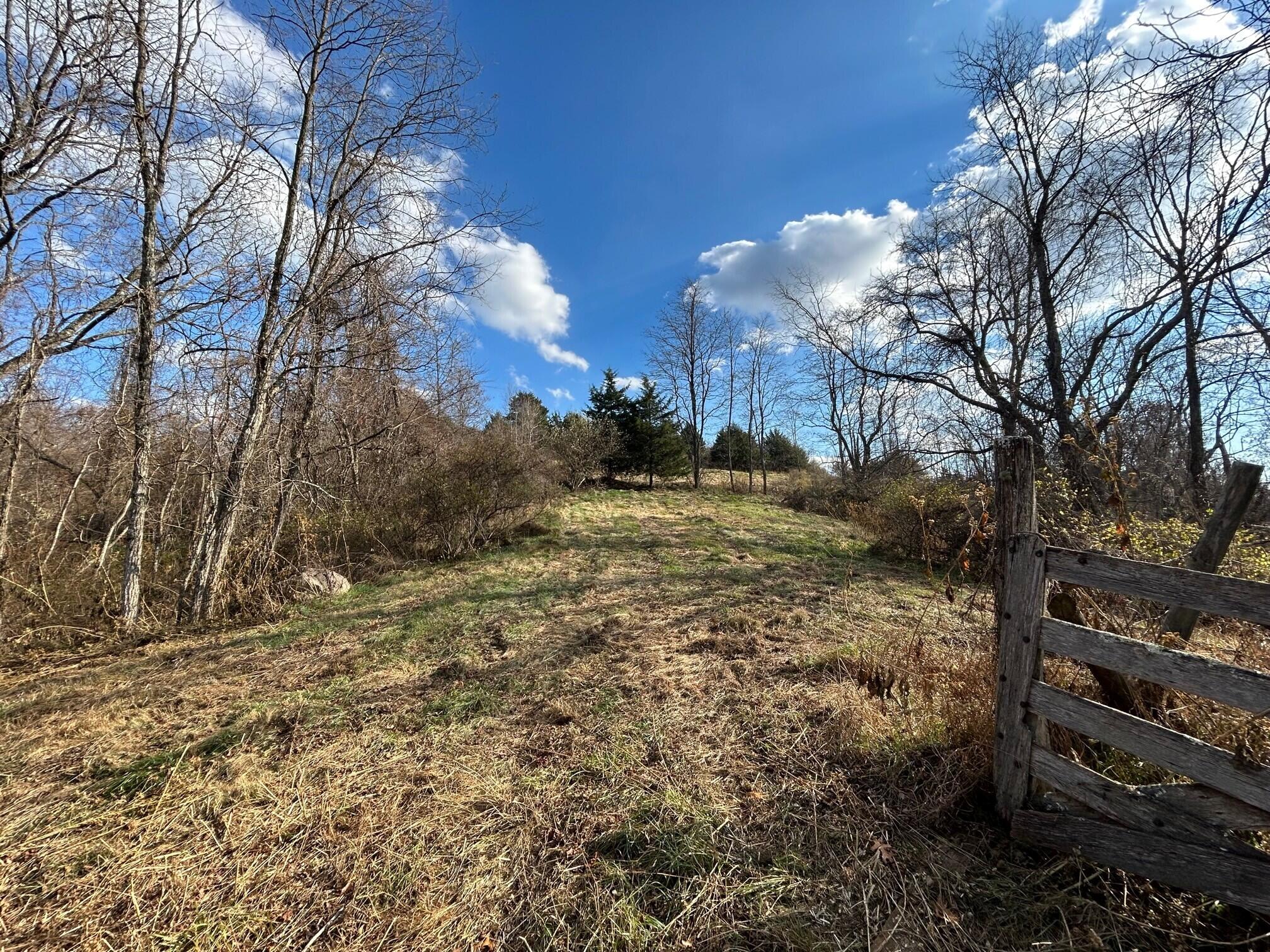 Toulee Ridges Lane, Sinks Grove, West Virginia image 6