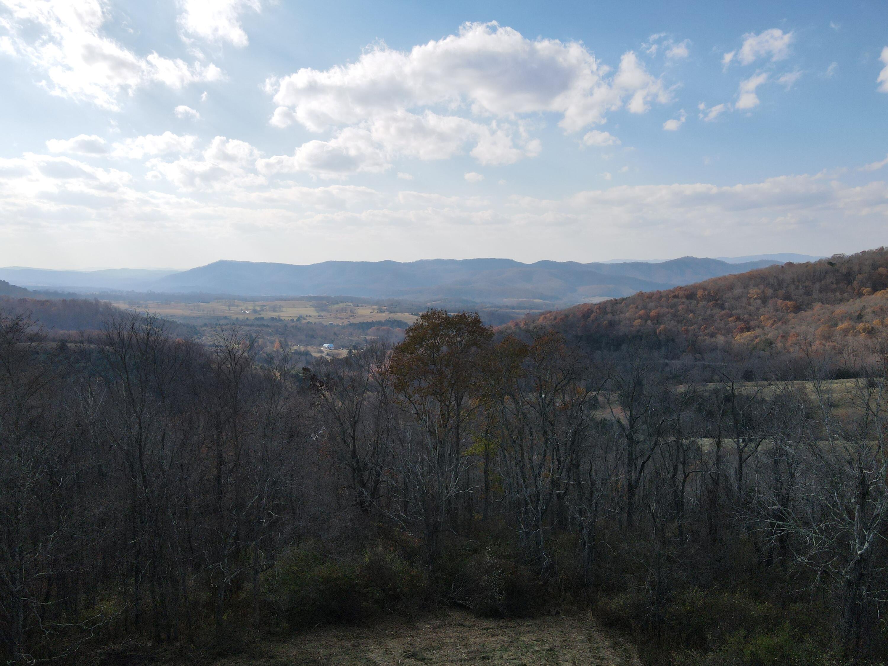 Toulee Ridges Lane, Sinks Grove, West Virginia image 50