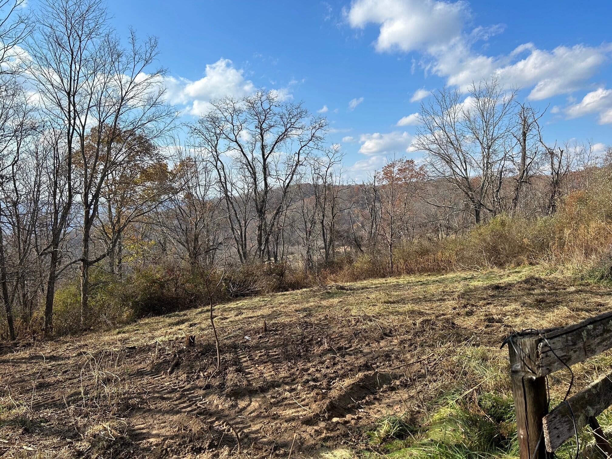 Toulee Ridges Lane, Sinks Grove, West Virginia image 8