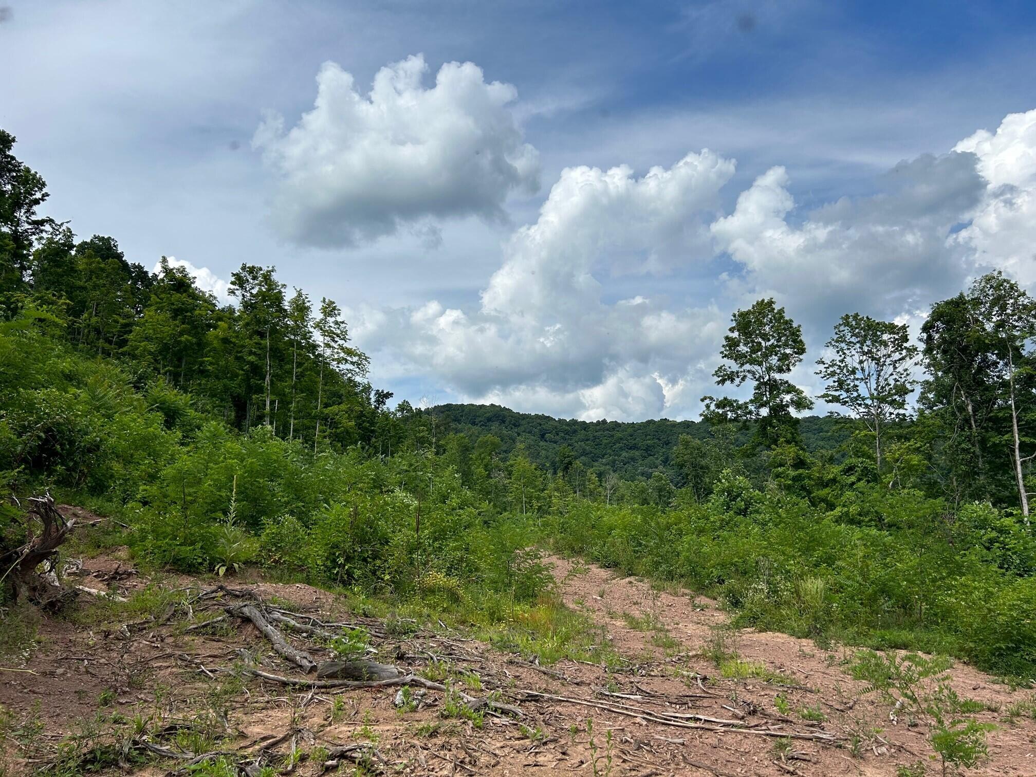 Keeney Mt. Rd, Sandstone, West Virginia image 8