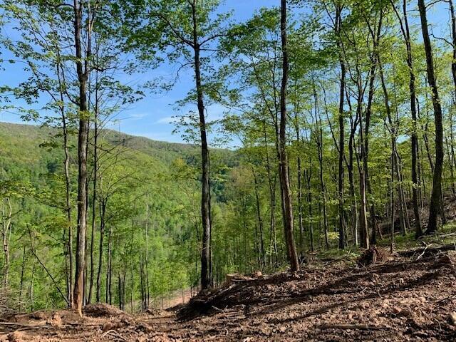 Keeney Mt. Rd, Sandstone, West Virginia image 12