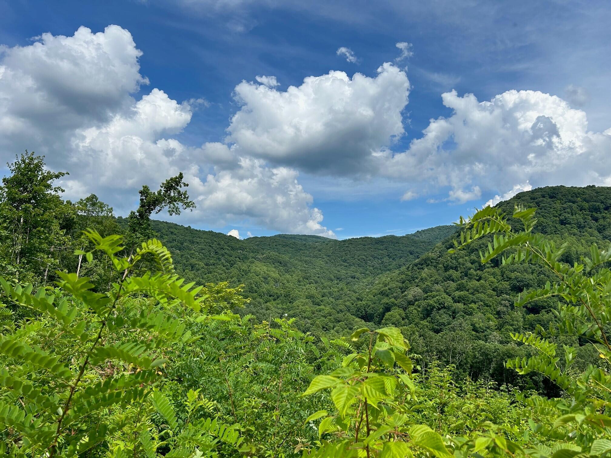 Keeney Mt. Rd, Sandstone, West Virginia image 7