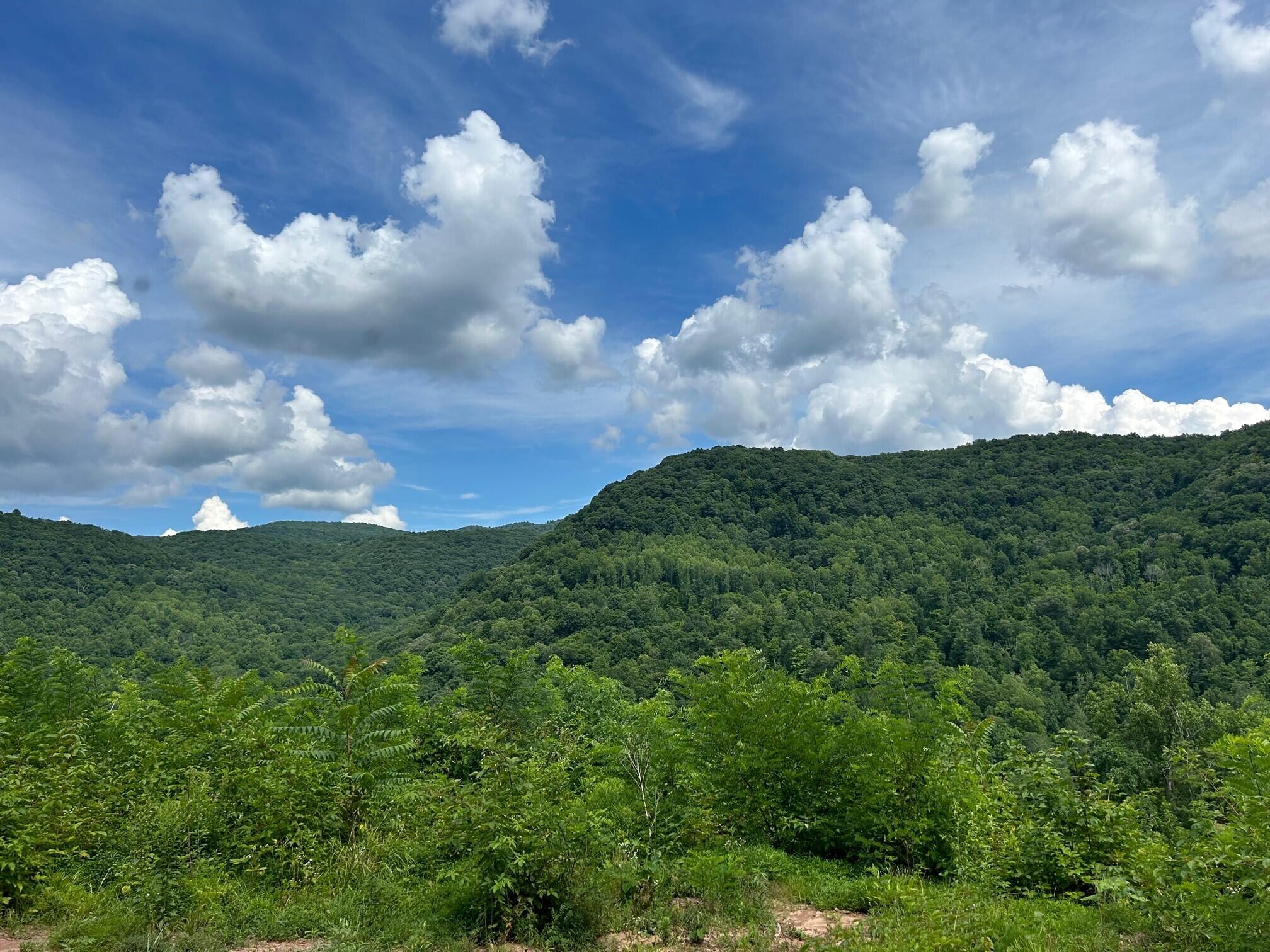 Keeney Mt. Rd, Sandstone, West Virginia image 1