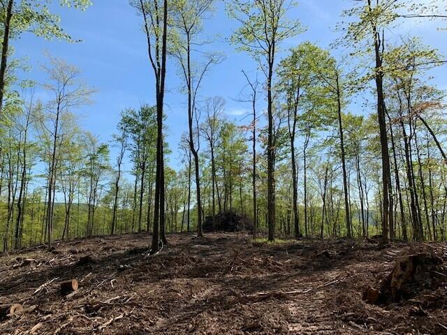 Keeney Mt. Rd, Sandstone, West Virginia image 16