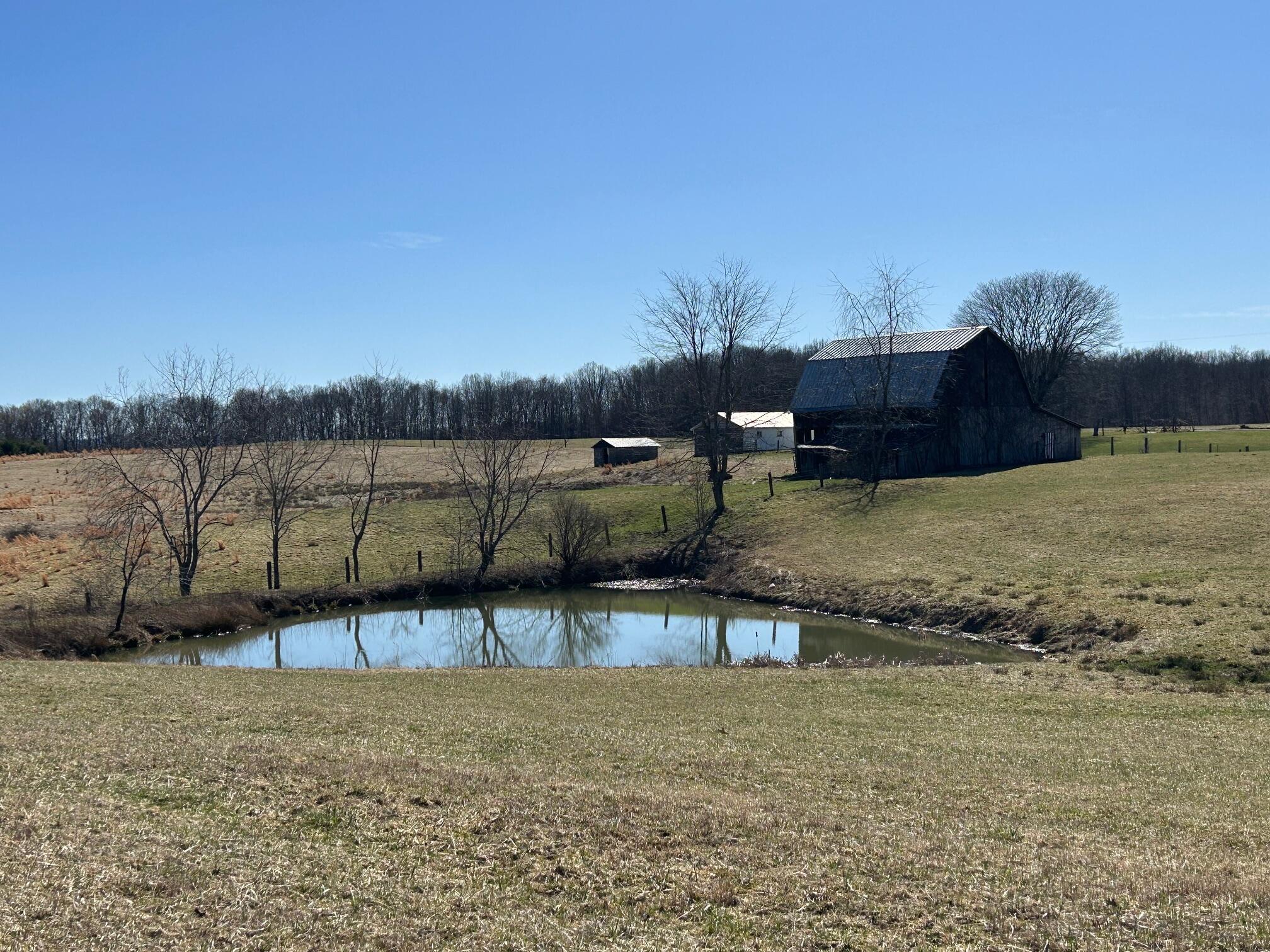 113 Lon Martin Rd, Rainelle, West Virginia image 12