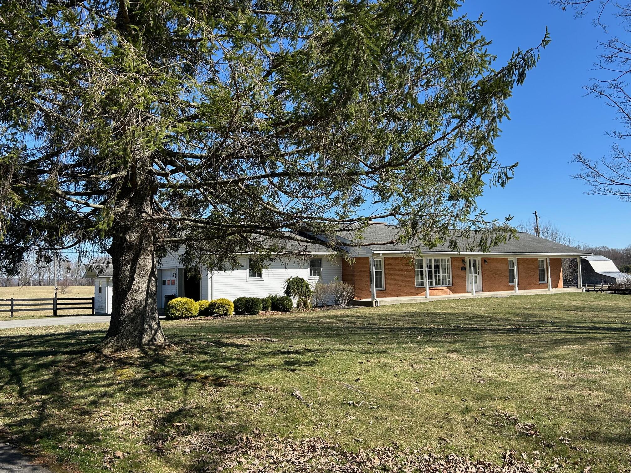 113 Lon Martin Rd, Rainelle, West Virginia image 3