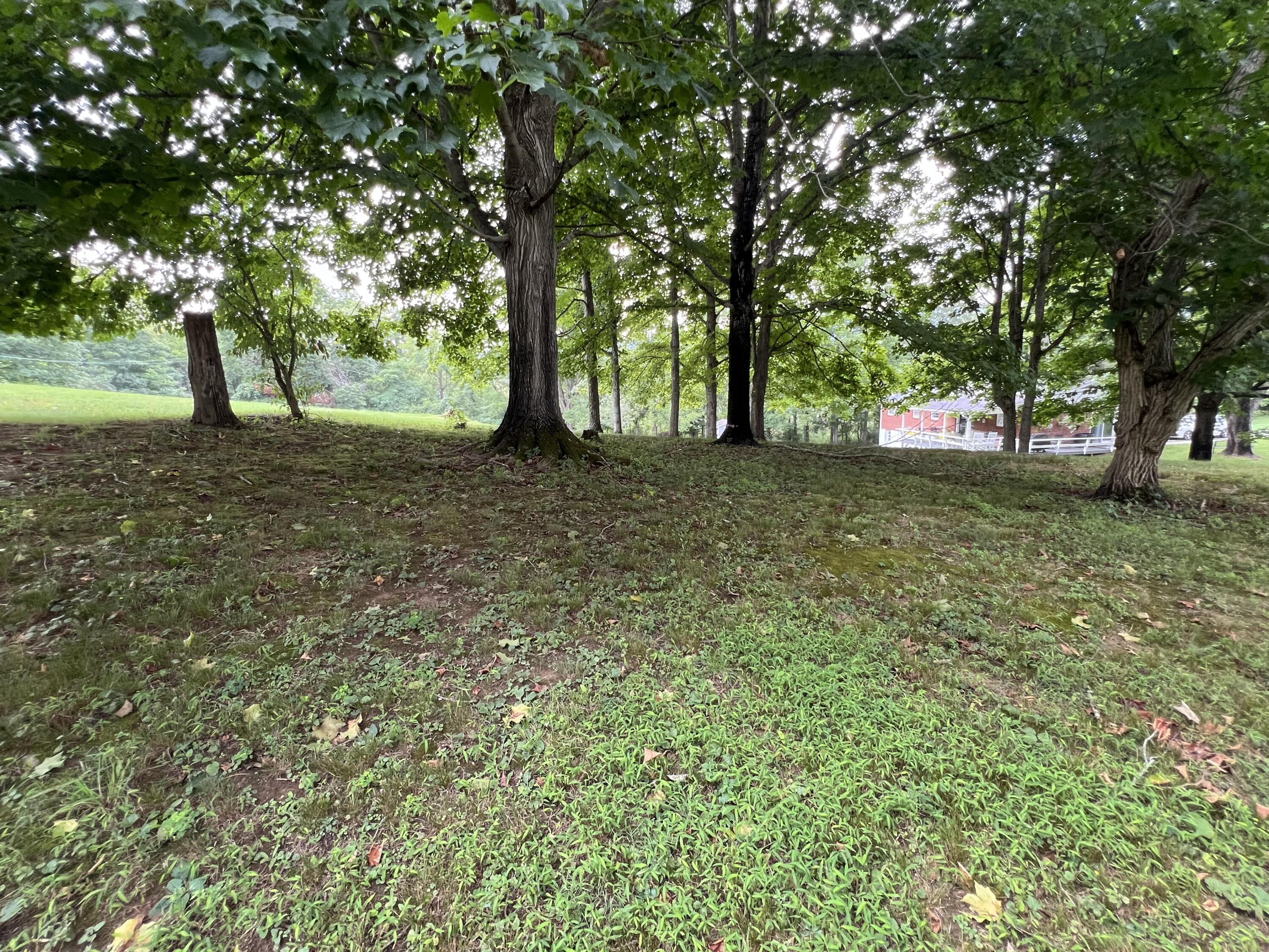 35 Hinkle Dr #LOT 66, Union, West Virginia image 10