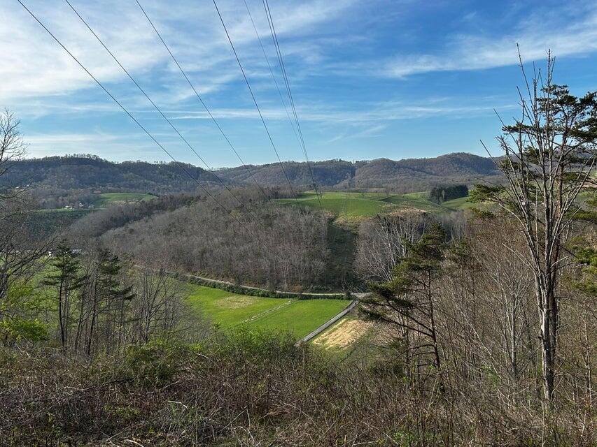 594 D Little Wolf Creek Rd, Hinton, West Virginia image 3