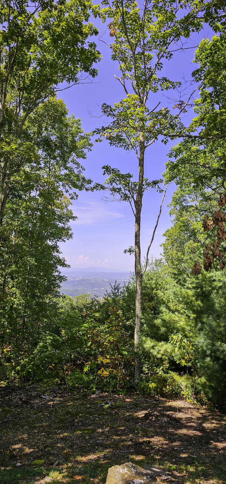 Lot 95 White Rock Trl #95, Caldwell, West Virginia image 4