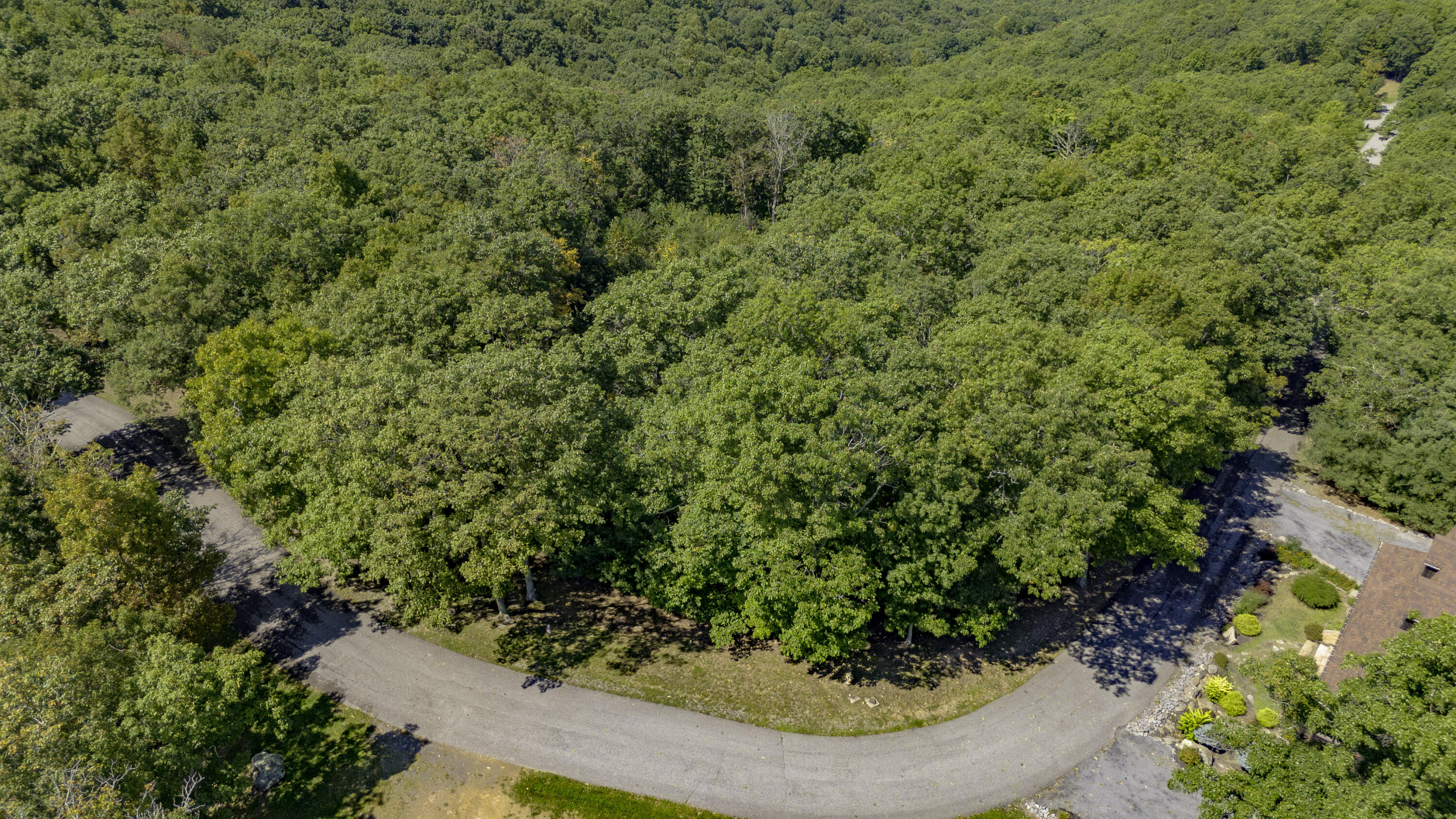 Lot 95 White Rock Trl #95, Caldwell, West Virginia image 2