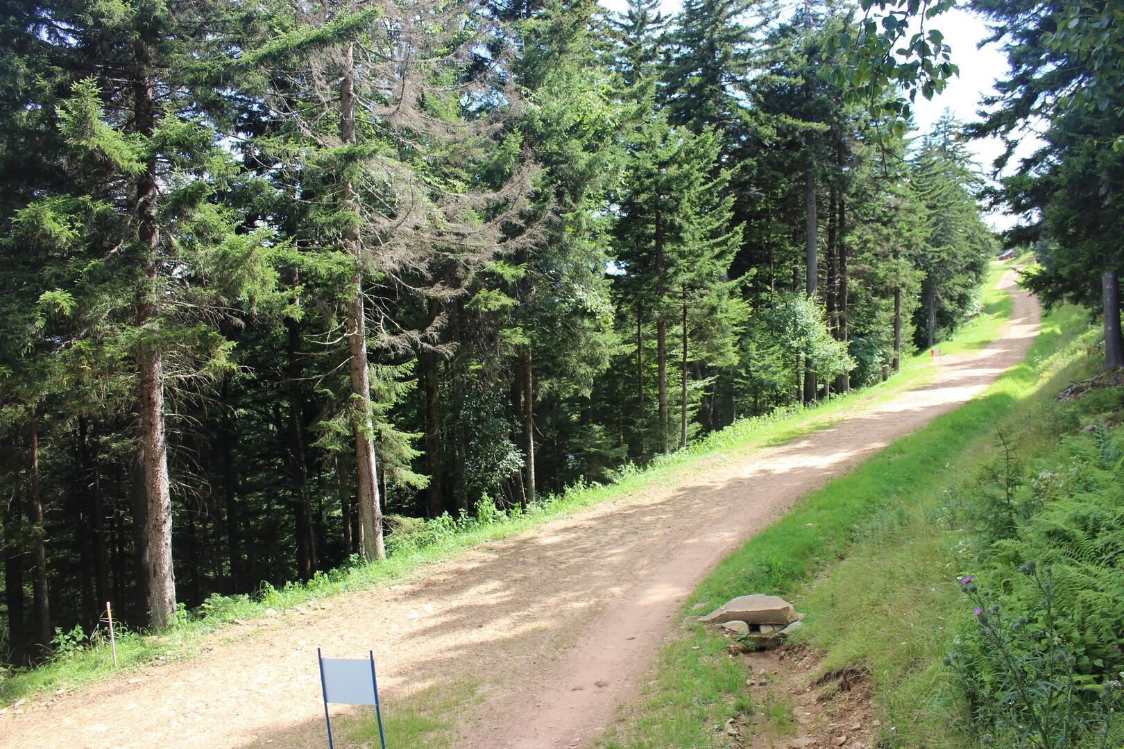 Lot 5 The Retreats At Red Spruce #5, Snowshoe, West Virginia image 10