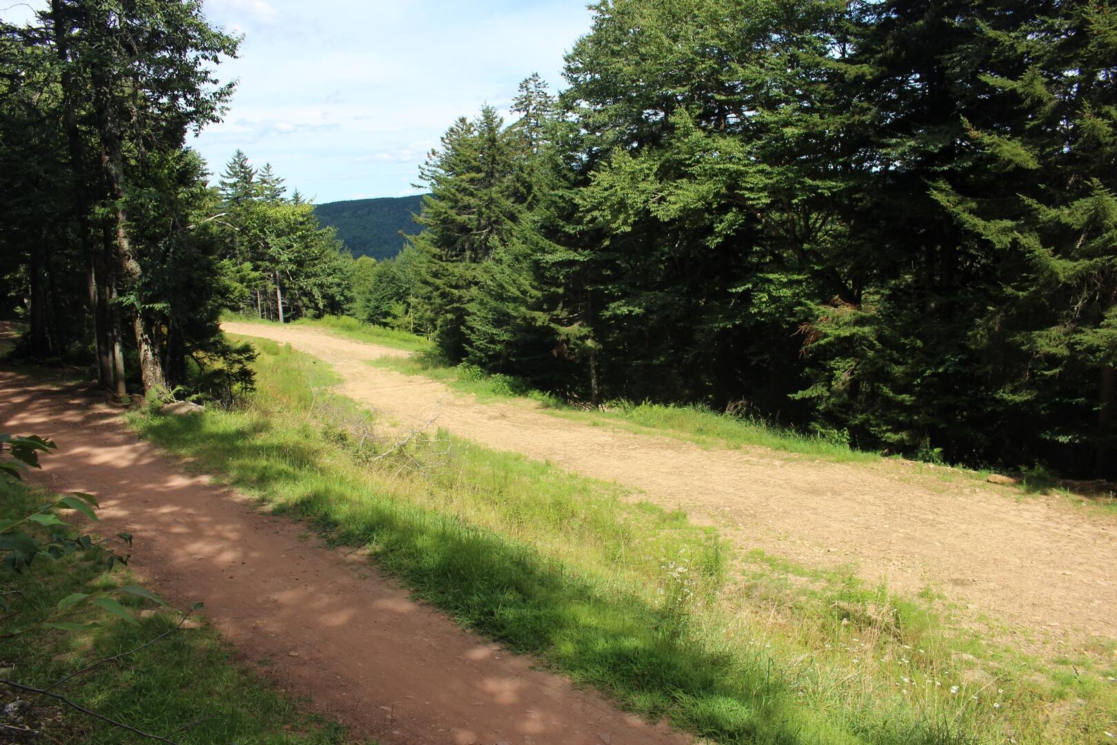 Lot 5 The Retreats At Red Spruce #5, Snowshoe, West Virginia image 9