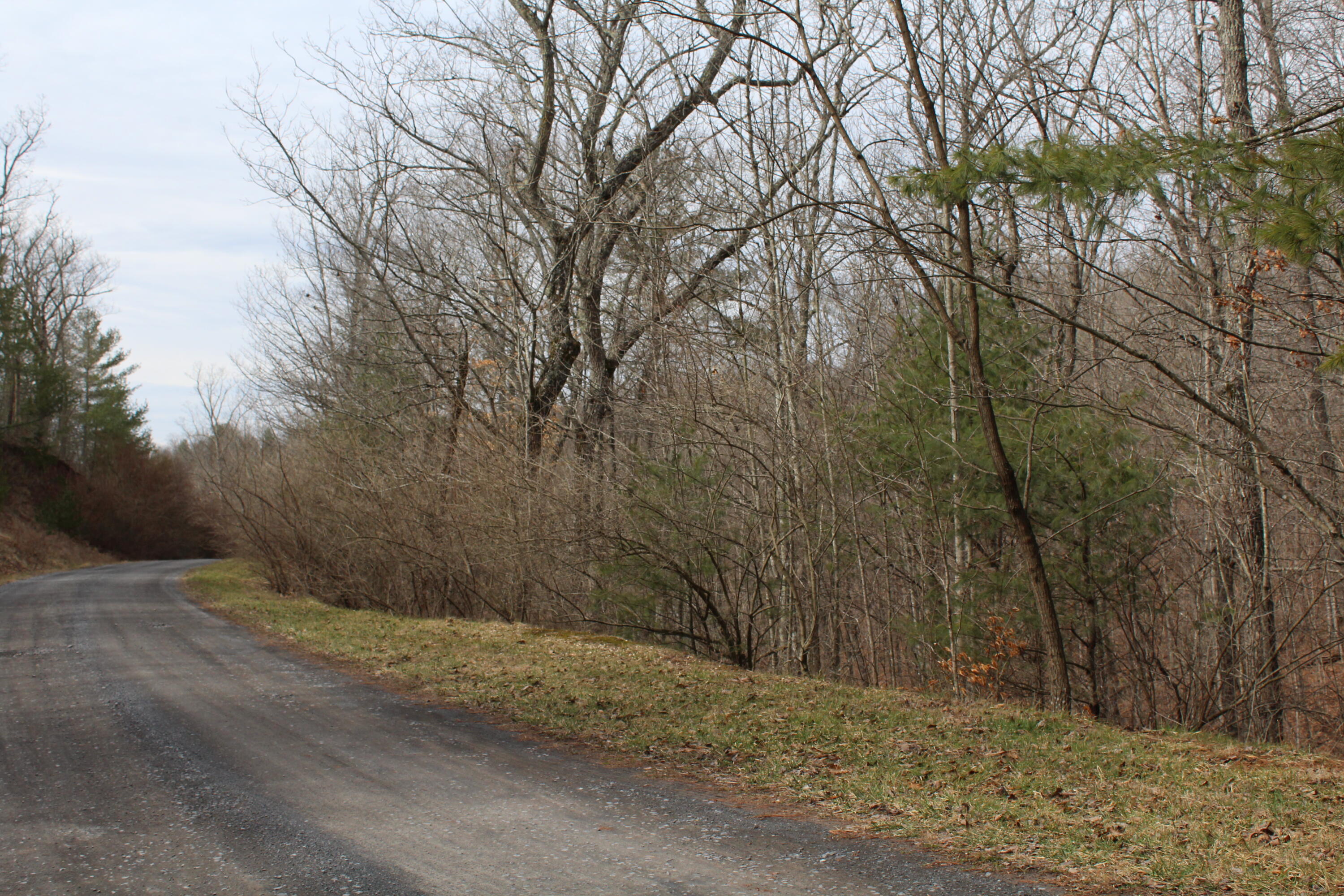 Stonehenge Parkway, Lewisburg, West Virginia image 1