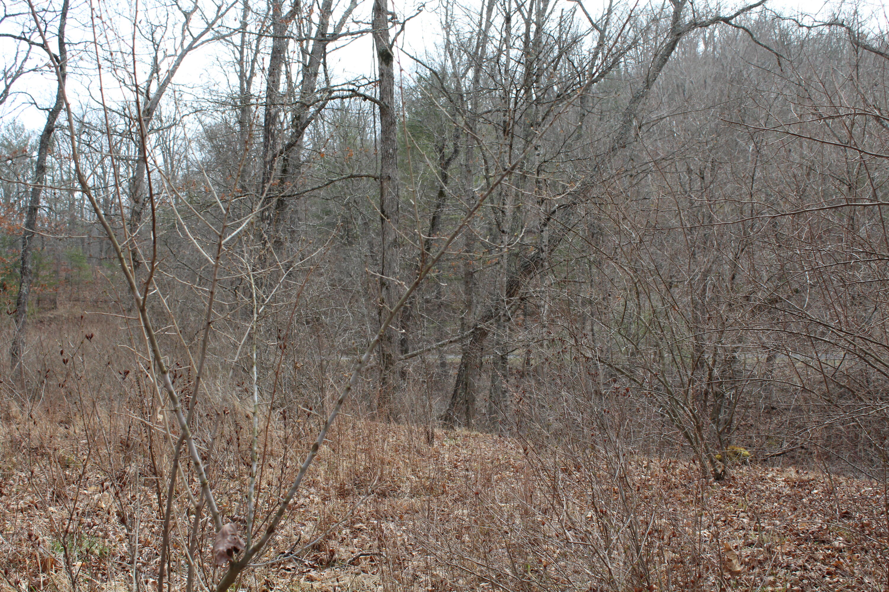 Stonehenge Parkway, Lewisburg, West Virginia image 3