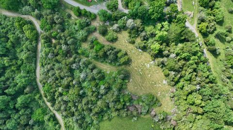 Vacant Land For Sale - Sunrise Lane<br/> Union, WV 24983