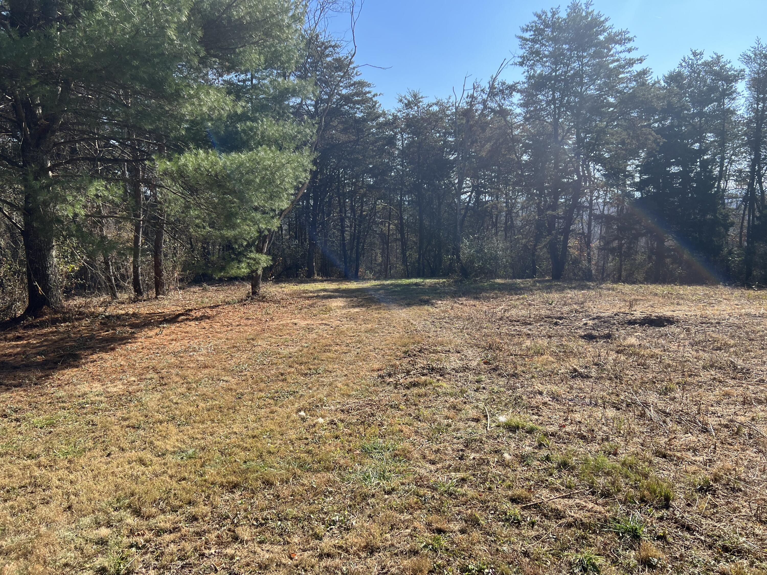 Grand View Dr #LOT 8, Forest Hill, West Virginia image 8