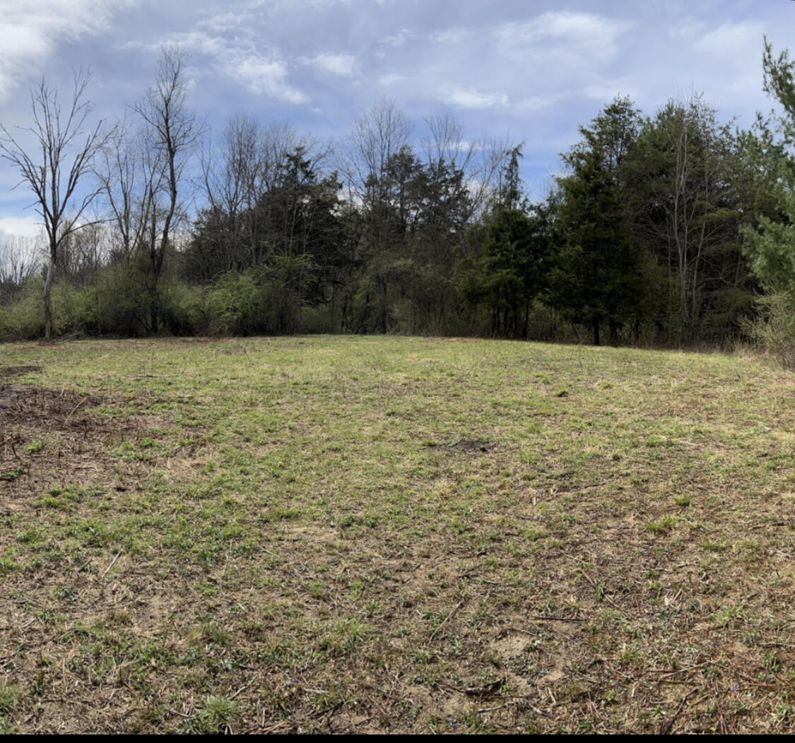 Grand View Dr #LOT 8, Forest Hill, West Virginia image 1