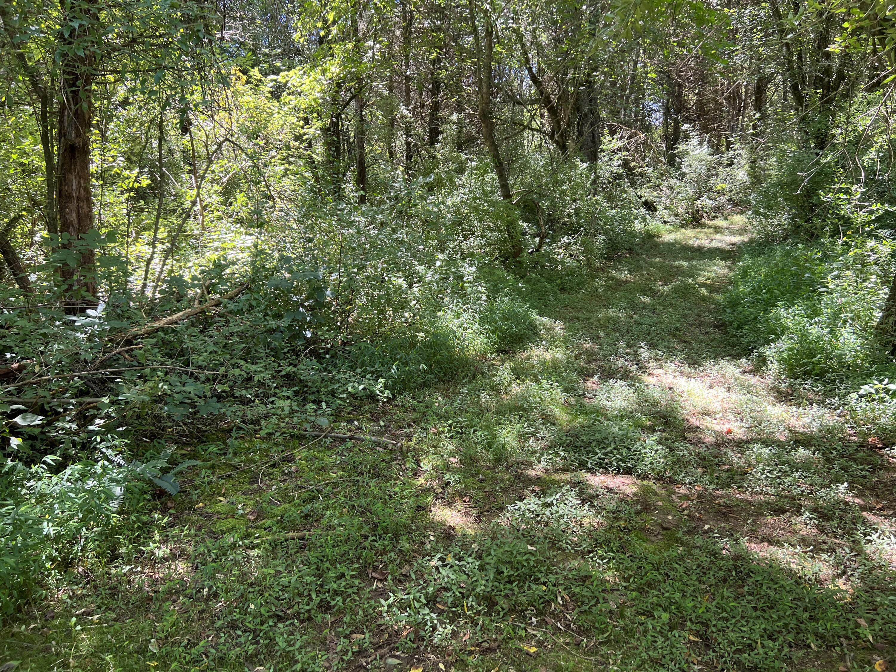 Grand View Dr #LOT 8, Forest Hill, West Virginia image 3