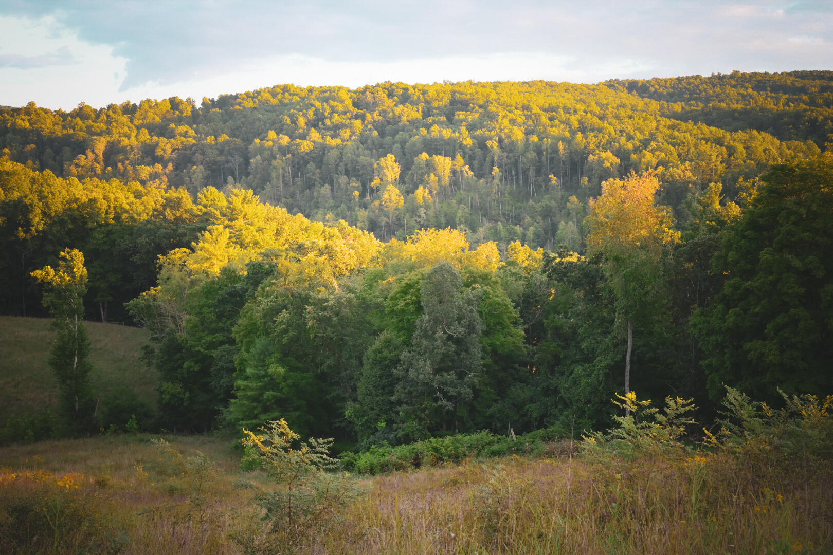 Tbd Highland Park Rd, Secondcreek, West Virginia image 8