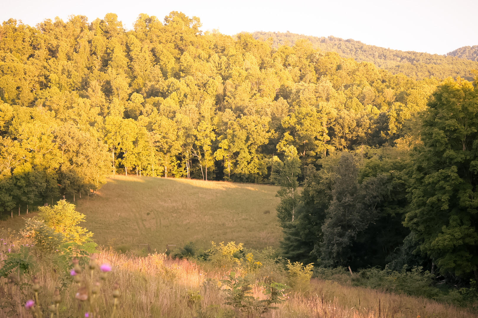 Tbd Highland Park Rd, Secondcreek, West Virginia image 9